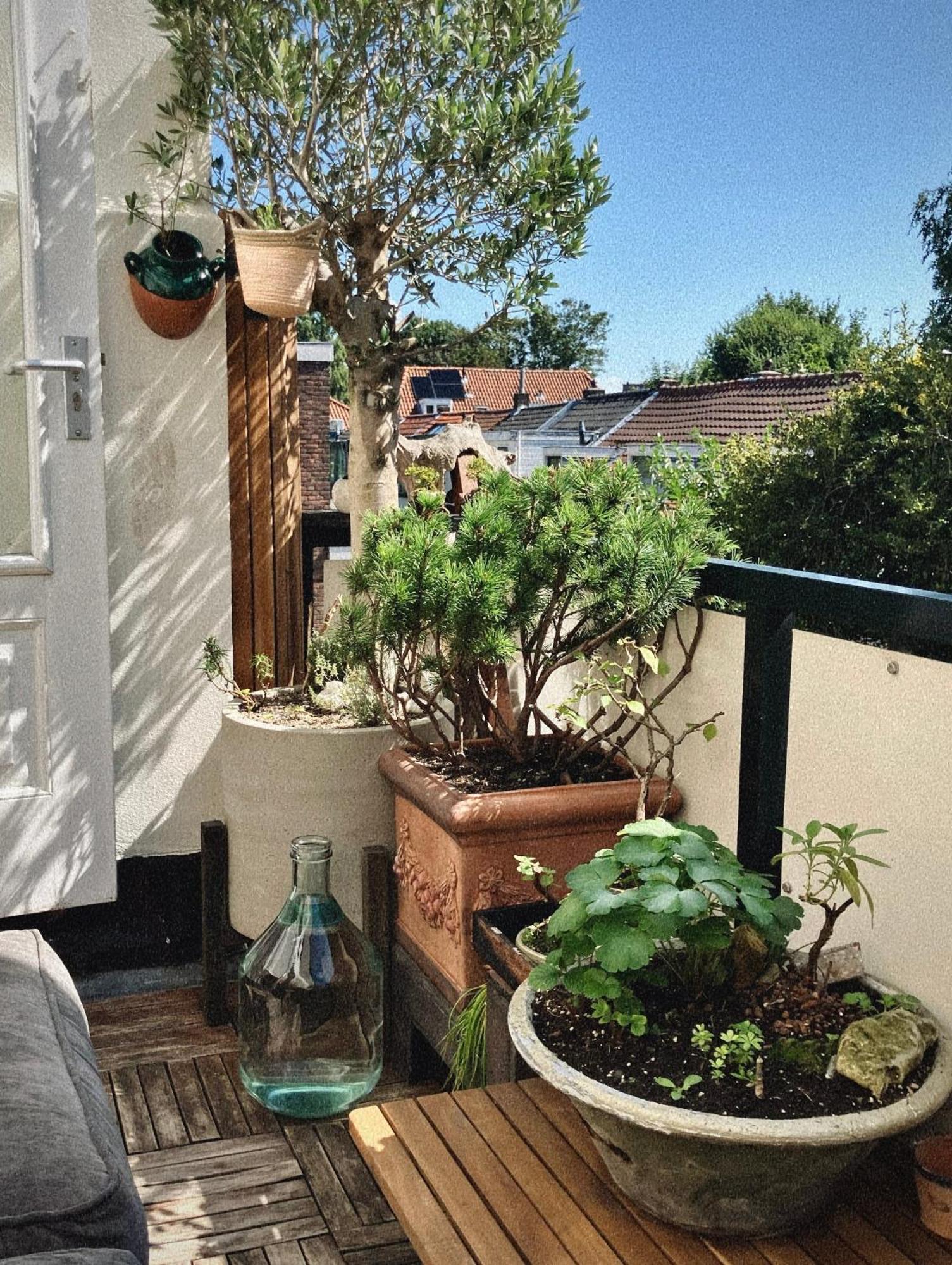 Lovely, 1898 Jugendstil Design Apartment, Old Haarlem City Centre, Fully Renovated With Parkview Near Amsterdam And Zandvoort, Bloemendaal Beach Exterior foto